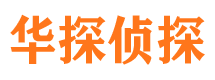 西沙侦探公司